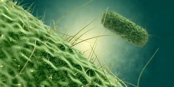 AGA发布有关粪便微生物群移植安全性和有效性的最大报告