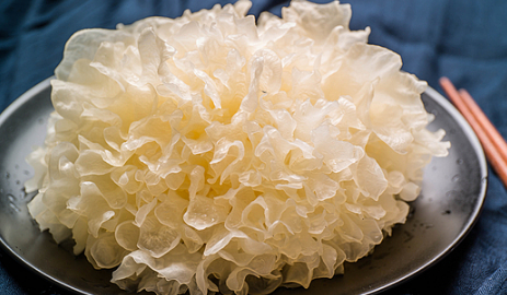 绣球菌是一种非常营养的食用菌