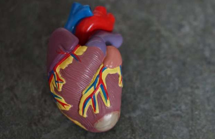 越来越多的证据表明酮体可能对心脏病患者有益