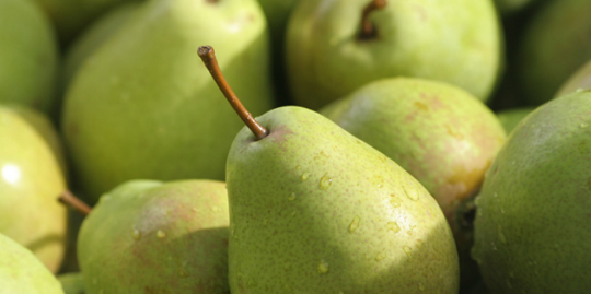 不起眼的梨通常被苹果等更受欢迎的水果所吸引
