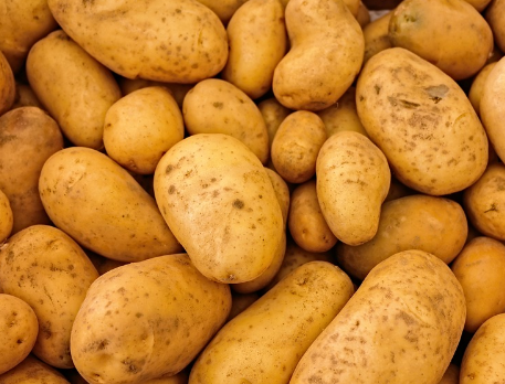 马铃薯在低碳水化合物饮食趋势下的声誉有些差