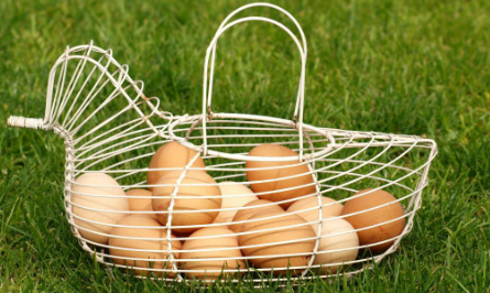 不起眼的鸡蛋具有令人难以置信的健康益处