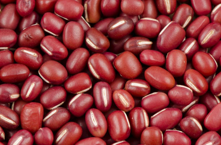 豆类是多功能食品是获得超级食品称号的营养强国