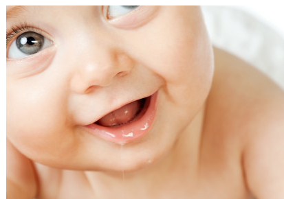 婴儿奶粉不同于成人奶粉