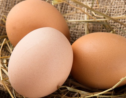 鸡蛋是我们生活中不可或缺的一种营养美食