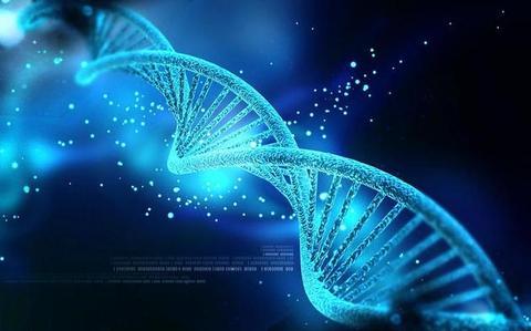 科学家搜寻53,000多人的基因以更好地抵抗危险疾病