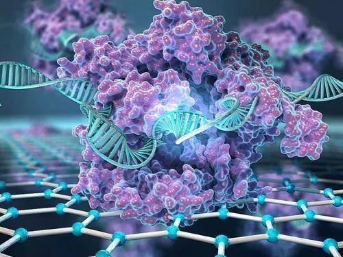 CRISPR-SNP芯片可实现单点突变的无扩增电子检测