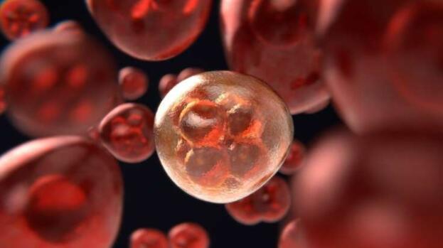 科学家发现可以预防血液癌的跳跃基因