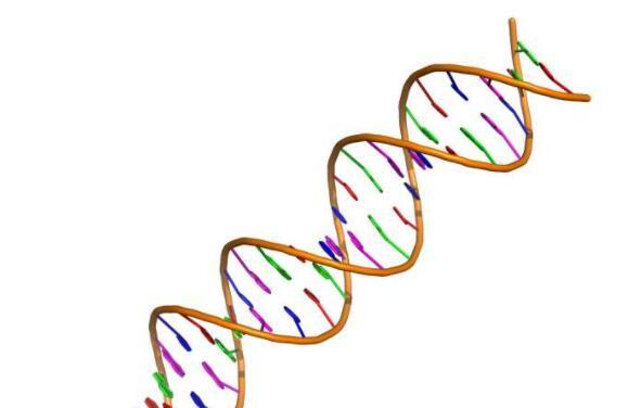 被忽视的DNA突变可能对肠癌患者的生存产生深远影响