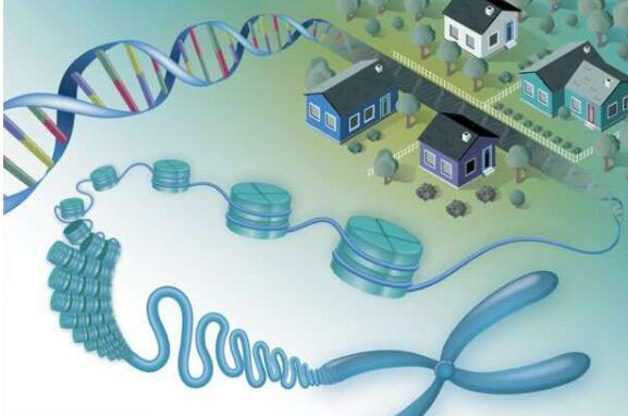 寻找基因邻居导致新的蛋白质功能