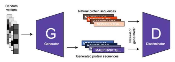 ProteinGAN：生成对抗性网络
