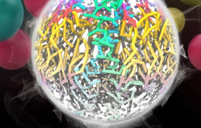 粗粒度分子动力学的通用力场