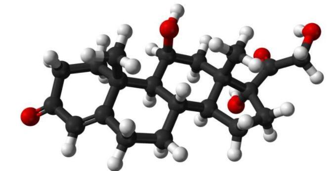 糖皮质激素的新型生物标志物可帮助定制治疗