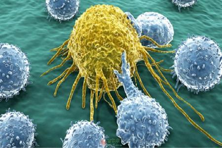 研究揭示了癌症免疫疗法与皮肤有关的副作用的关键细节