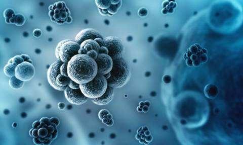 McMaster科学家发现训练有素的免疫细胞对癌症非常有效