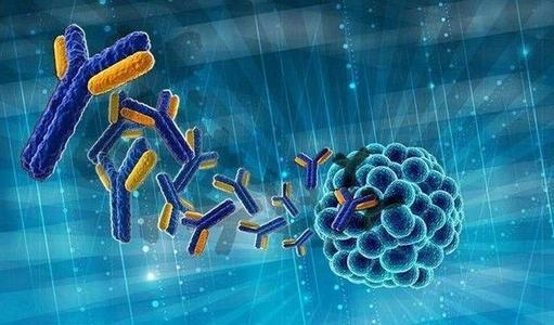 研究人员设计更有效抗体药物的新机器学习方法