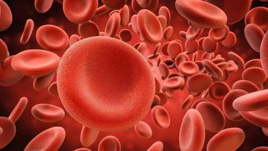 新的贫血发现指向更有效的治疗方法