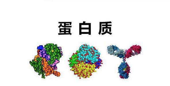 国大研究人员发现促进化疗耐药的蛋白质