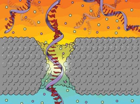 NIST研究建议如何构建更好的纳米孔生物传感器