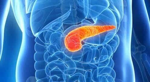 路德维希癌症研究显示胰腺癌细胞会逆转以促进恶性肿瘤
