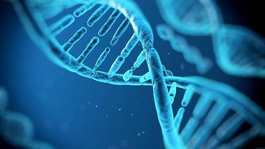 研究人员加快识别调节基因表达的DNA区域的速度