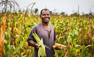 坦桑尼亚农民以可持续的方式增加饮食