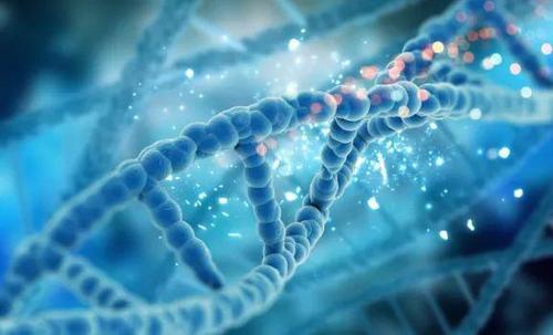 研究人员研究癌细胞如何重组DNA的3D结构以增强癌基因活性