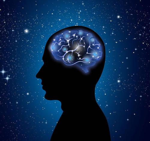 研究揭示了将大脑的知觉和记忆系统联系起来的三个大脑区域