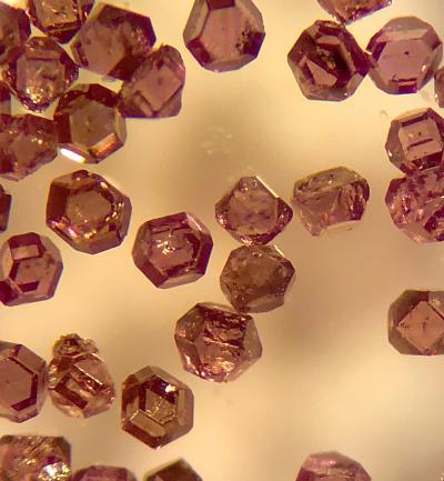 钻石可同时使用光学显微镜和MRI进行成像