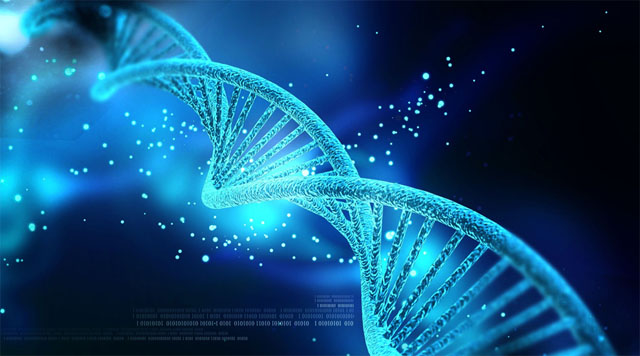 科学家绘制了大脑中潜在的基因变化以及衰老的认知能力下降的图谱