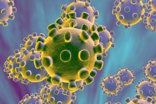 新的研究将允许方便地调查人类对病毒感染的先天免疫反应