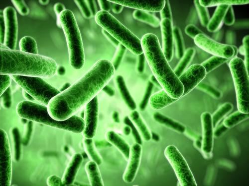 数学模型预测细菌突变对抗生素成功的影响