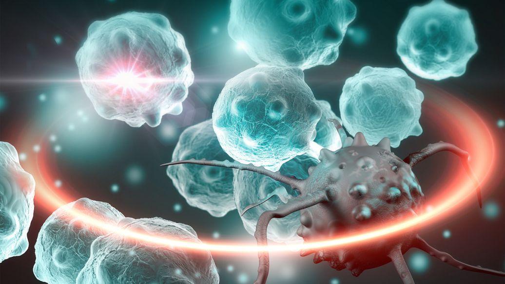 研究人员发现结合抗癌的免疫疗法