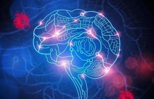 对大脑蛋白质生产的新见解可帮助解决痴呆症