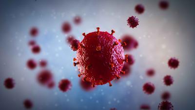 分子利用患者的免疫系统对抗艾滋病