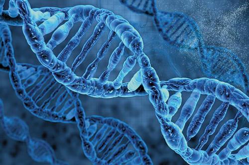 UVA开发抗癌新工具 推进基因组学研究