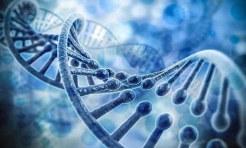抑制有害DNA变化的拯救突变可能揭示遗传疾病
