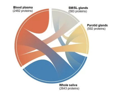 人类唾液蛋白质组维基可以帮助改变诊断测试