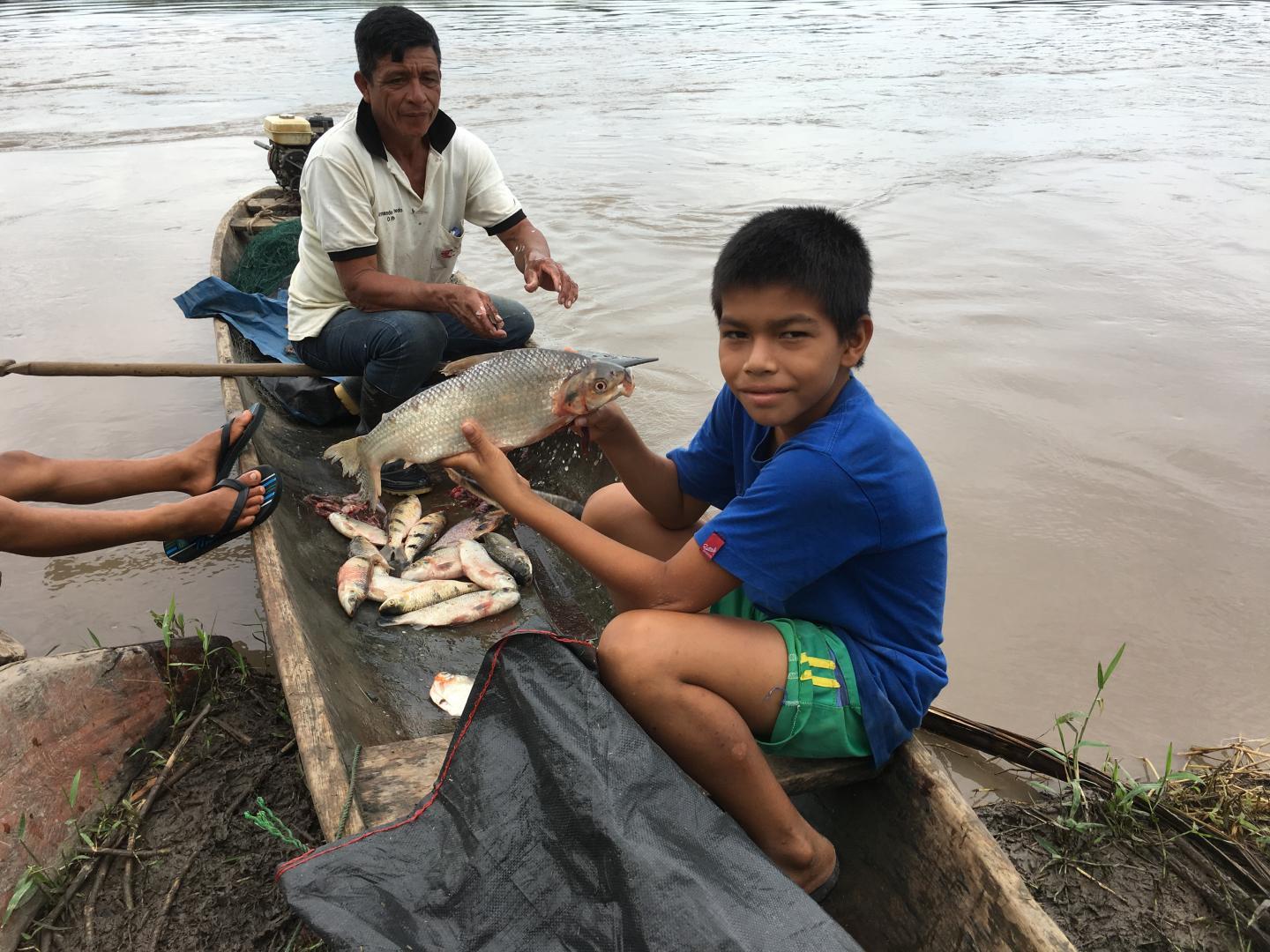 亚马逊野生渔业生物多样性下降威胁人类饮食