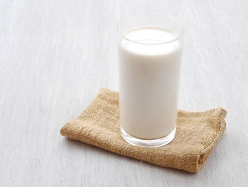 研究人员在牛奶中发现枫树毒素