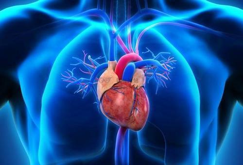 新分析检查接受心脏移植的老年患者的存活率