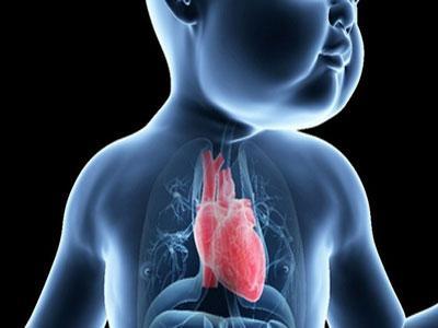 研究人员发现与先天性心脏病有关的基因