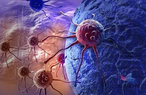 研究阐明了Omega-3脂肪酸如何毒害肿瘤细胞