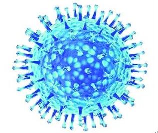 新流感病毒的数量正在增加 并可能导致大流行