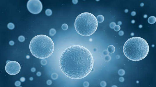研究发现 细胞因子可以控制引发炎症性肠病的免疫细胞