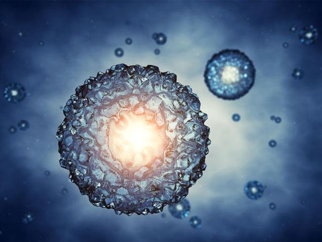 B细胞可能在黑素瘤的免疫治疗中发挥重要作用
