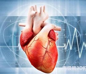 谱系心脏组织节拍研究