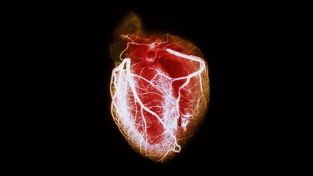 联邦官员暂停对心脏病干细胞的试验