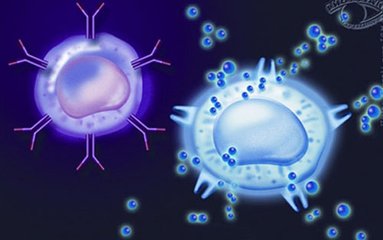 PD-L1蛋白保护肿瘤细胞逃避免疫细胞的杀伤