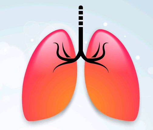 科学家研究了HAP与包括在内的肺部感染之间的联系